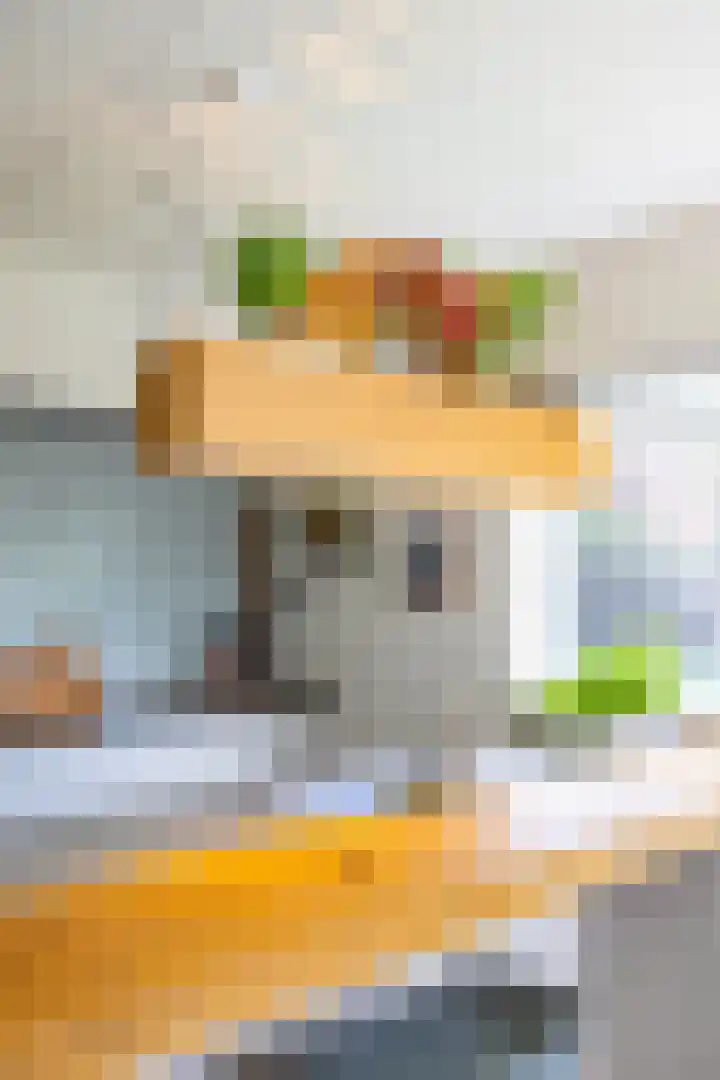 Snip 91 Groningen thumbnail 22