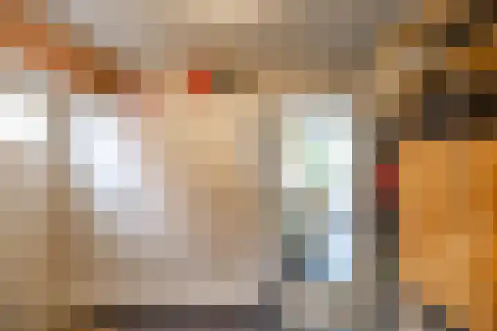 Snip 91 Groningen thumbnail 23