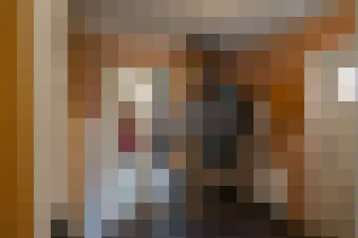 Snip 91 Groningen thumbnail 24
