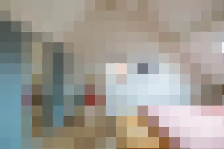 Snip 91 Groningen thumbnail 32