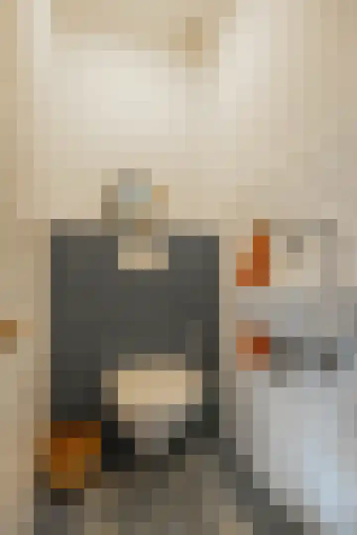 Snip 91 Groningen thumbnail 36