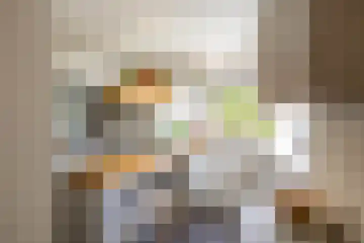 Snip 91 Groningen thumbnail 4