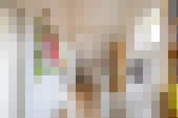 Snip 91 Groningen thumbnail 42