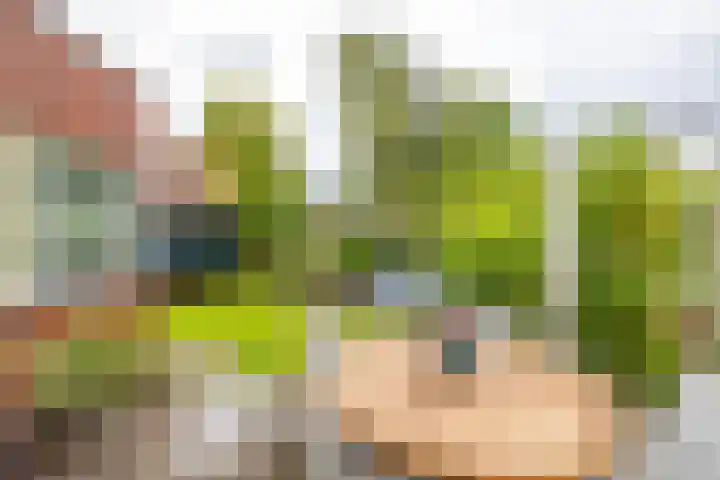 Snip 91 Groningen thumbnail 47