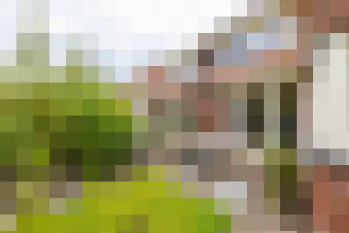 Snip 91 Groningen thumbnail 48