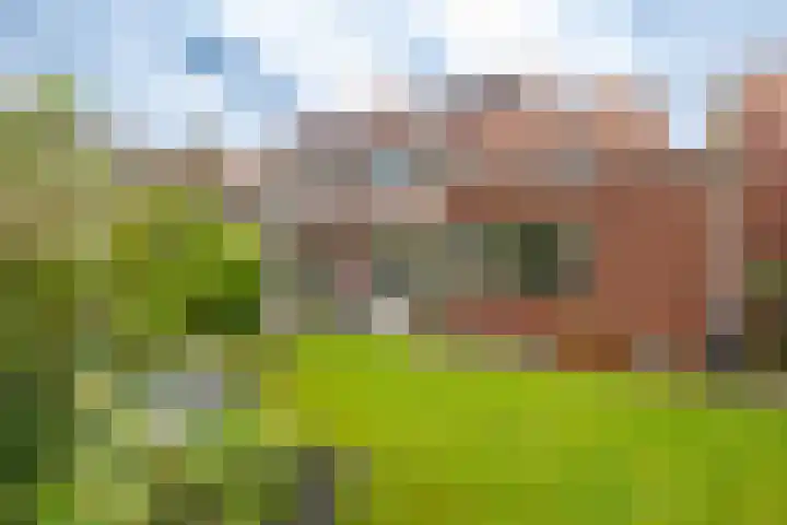 Snip 91 Groningen thumbnail 49