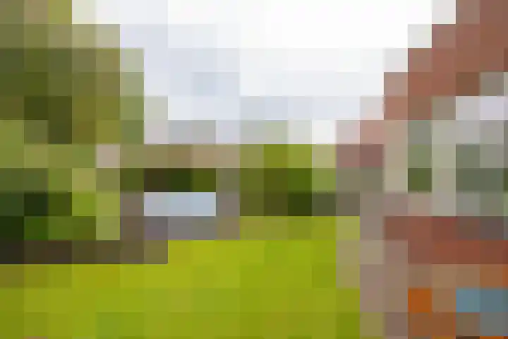 Snip 91 Groningen thumbnail 50