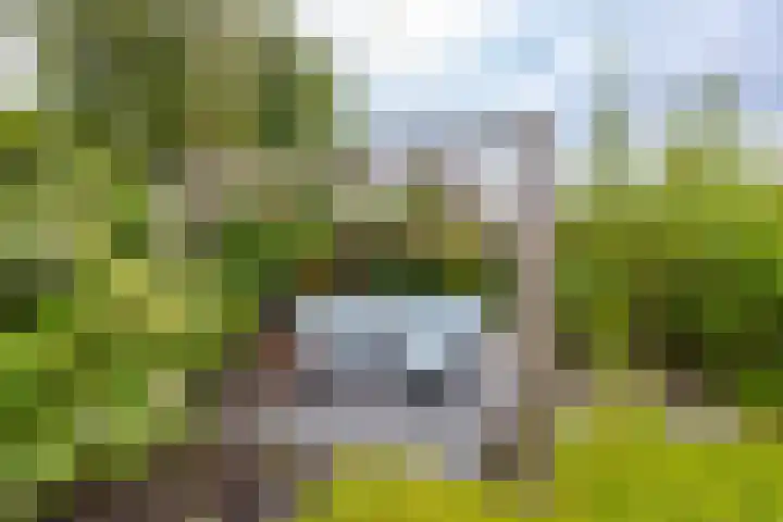 Snip 91 Groningen thumbnail 51