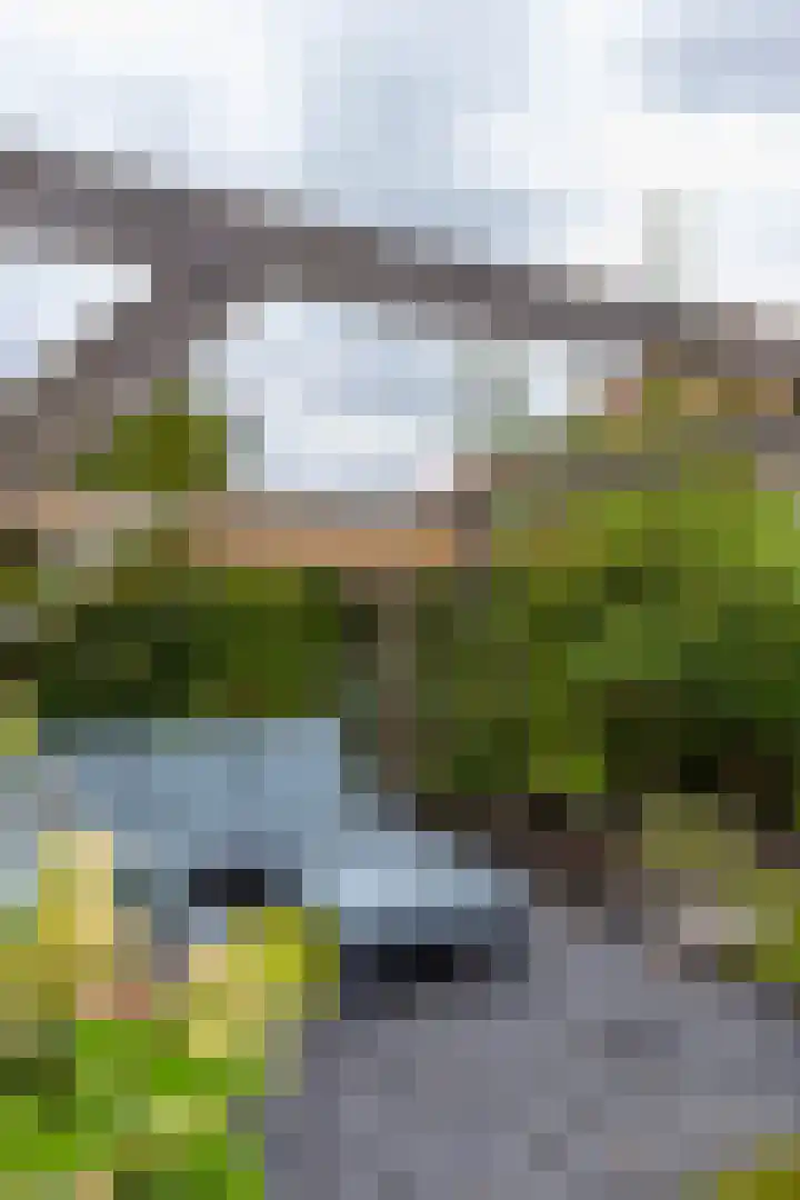 Snip 91 Groningen thumbnail 52