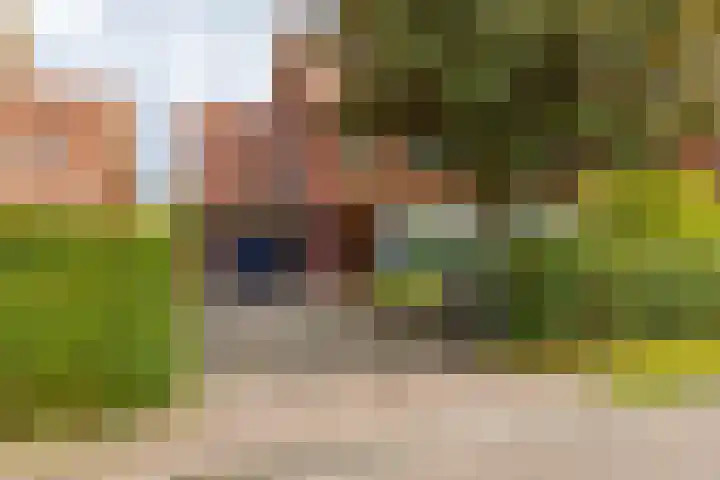 Snip 91 Groningen thumbnail 54