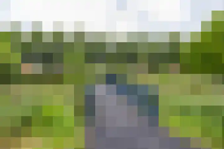 Snip 91 Groningen thumbnail 55