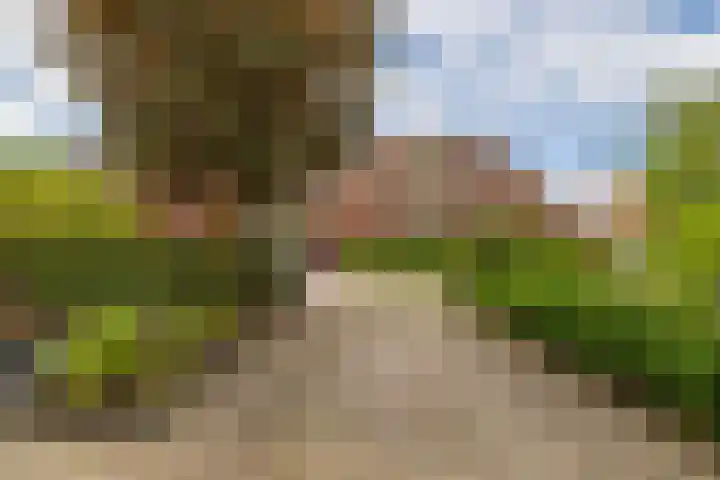 Snip 91 Groningen thumbnail 6