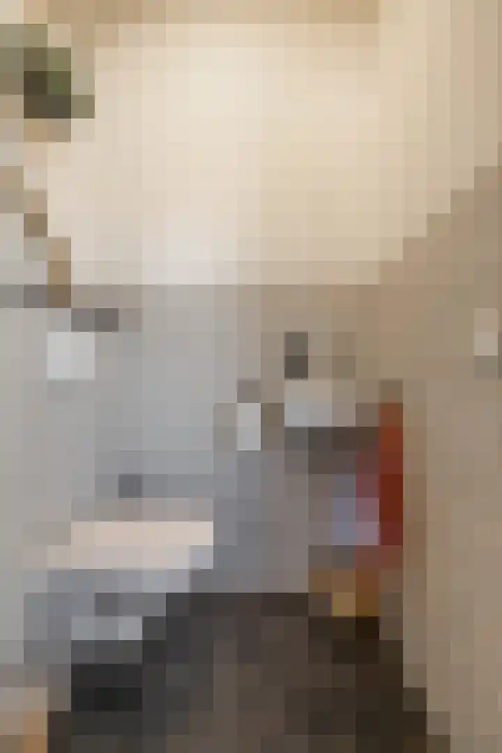 Snip 91 Groningen thumbnail 8