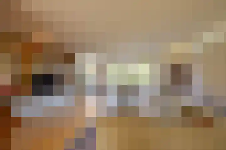 Snip 91 Groningen thumbnail 9