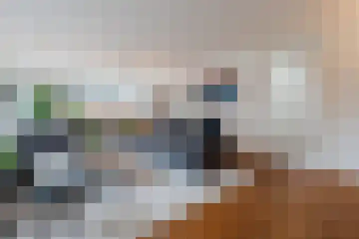 Snip 99 Groningen thumbnail 10