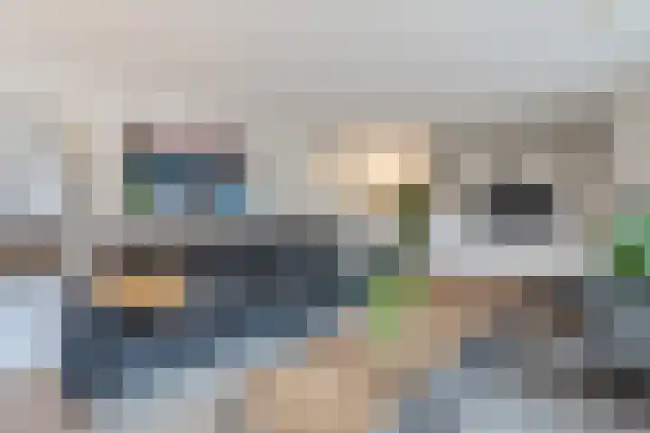 Snip 99 Groningen thumbnail 12