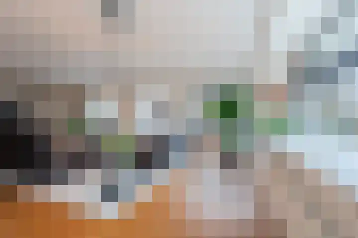 Snip 99 Groningen thumbnail 13