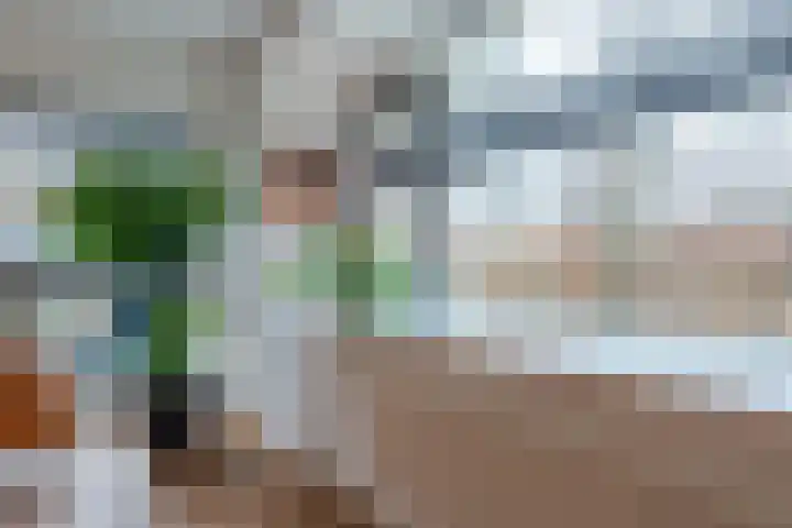 Snip 99 Groningen thumbnail 14