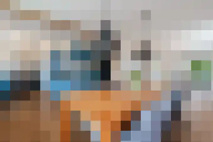 Snip 99 Groningen thumbnail 17