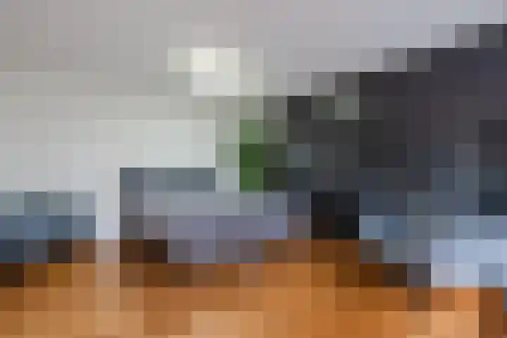 Snip 99 Groningen thumbnail 21