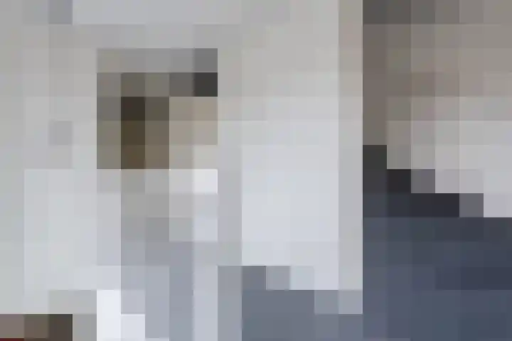 Snip 99 Groningen thumbnail 27