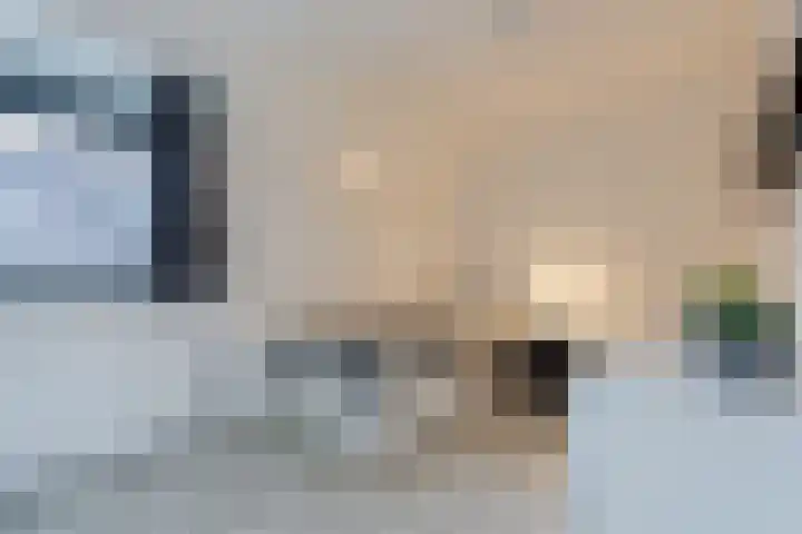 Snip 99 Groningen thumbnail 31
