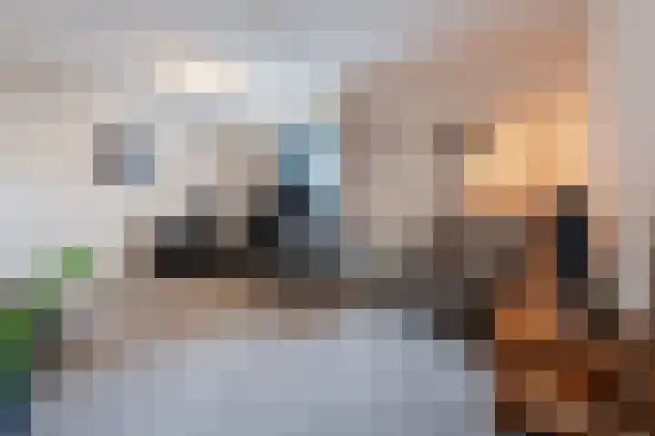 Snip 99 Groningen thumbnail 33