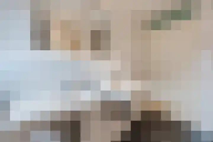Snip 99 Groningen thumbnail 36