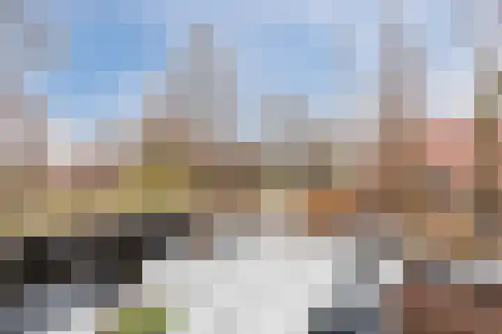 Snip 99 Groningen thumbnail 43