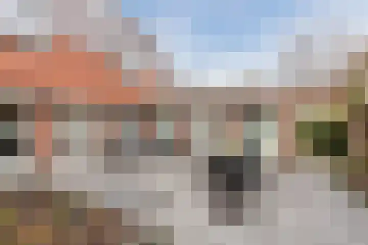 Snip 99 Groningen thumbnail 46