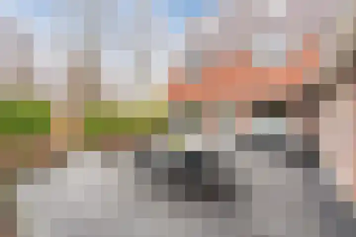 Snip 99 Groningen thumbnail 47