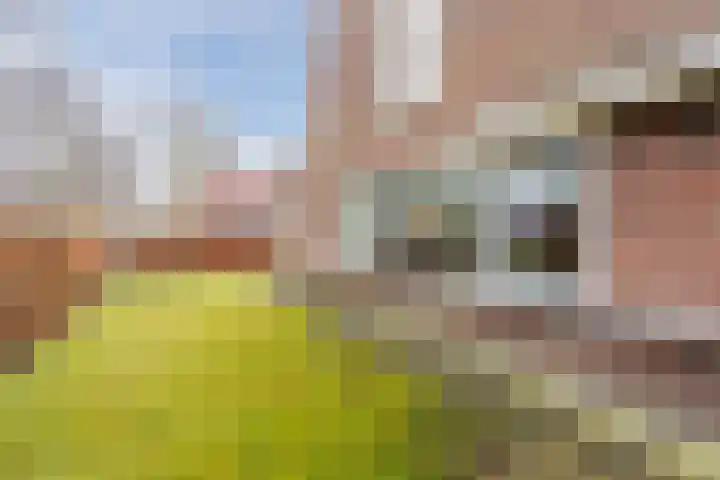 Snip 99 Groningen thumbnail 49