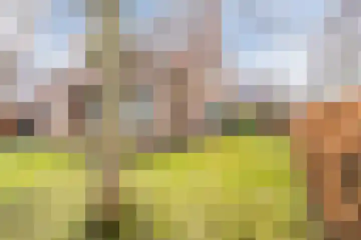 Snip 99 Groningen thumbnail 50
