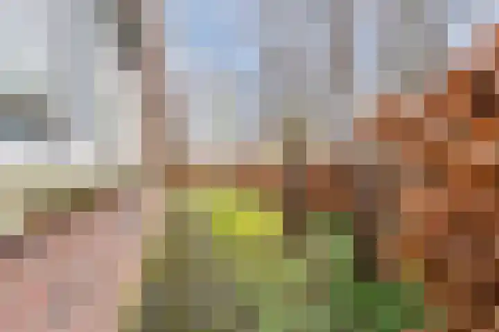 Snip 99 Groningen thumbnail 51