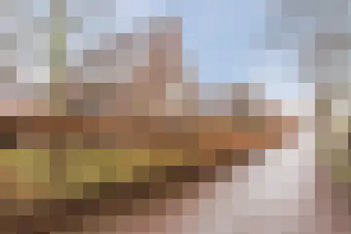 Snip 99 Groningen thumbnail 52