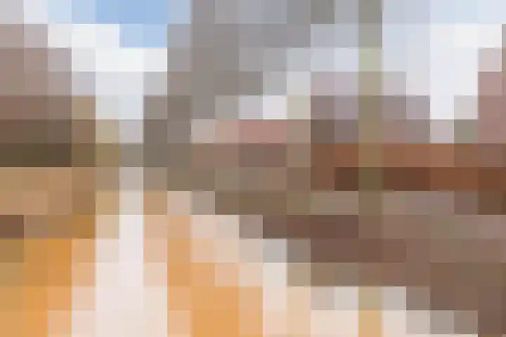 Snip 99 Groningen thumbnail 53