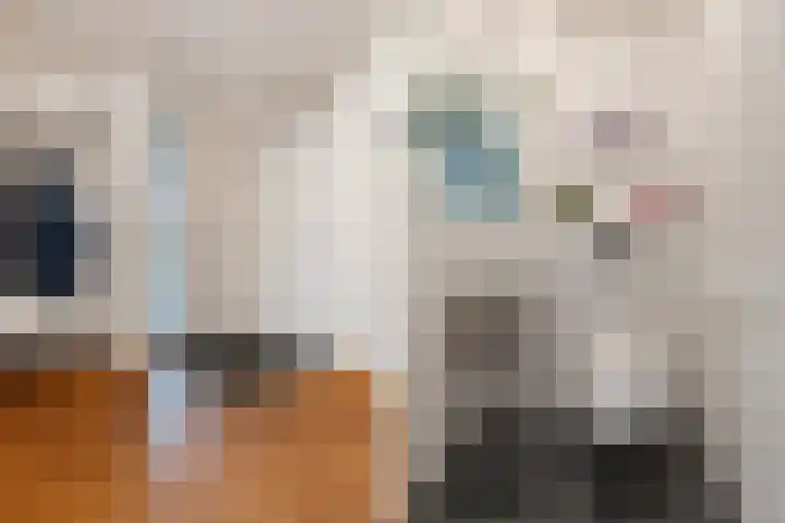 Snip 99 Groningen thumbnail 7