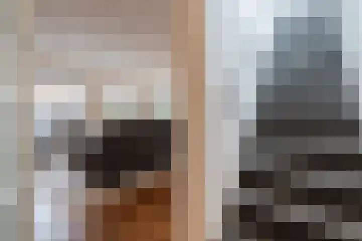 Snip 99 Groningen thumbnail 8