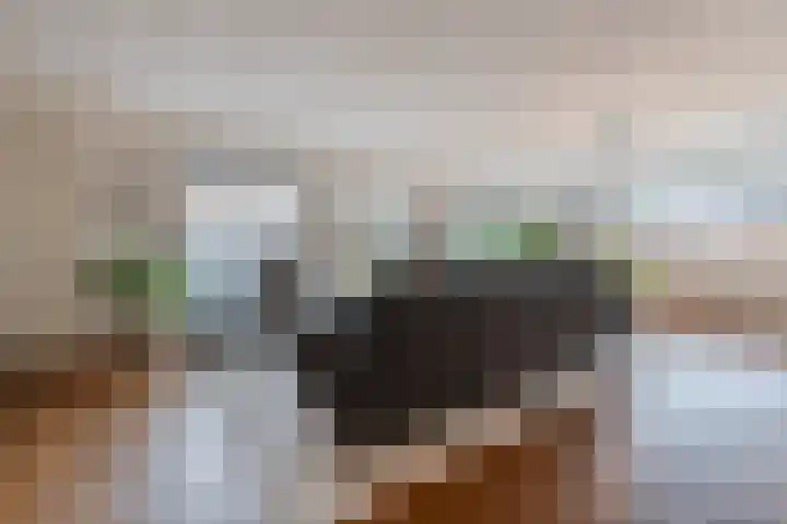 Snip 99 Groningen thumbnail 9