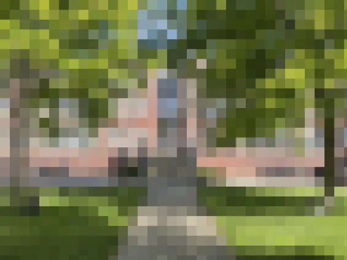 Snip Sassenheim thumbnail 6