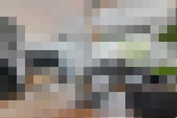 Snipdonk 13 Veghel thumbnail 11