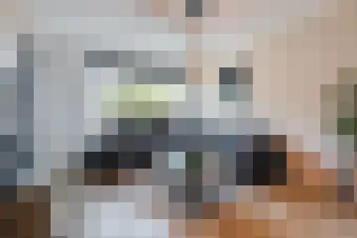 Snipdonk 13 Veghel thumbnail 12