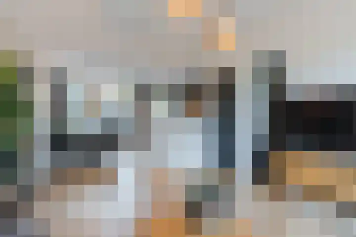 Snipdonk 13 Veghel thumbnail 14