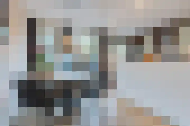 Snipdonk 13 Veghel thumbnail 15
