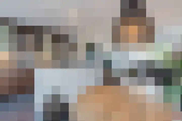 Snipdonk 13 Veghel thumbnail 16