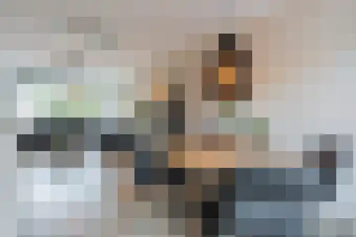 Snipdonk 13 Veghel thumbnail 17