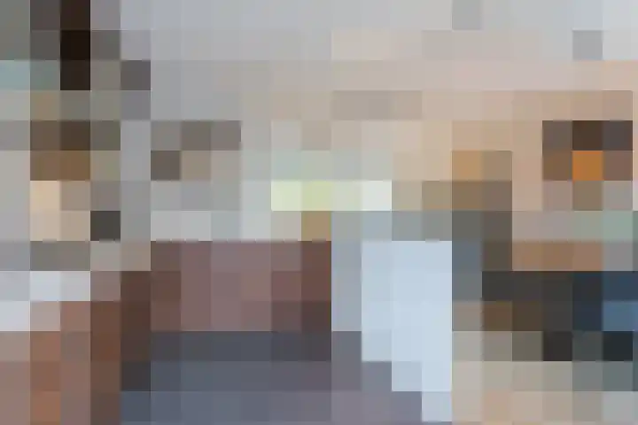 Snipdonk 13 Veghel thumbnail 18