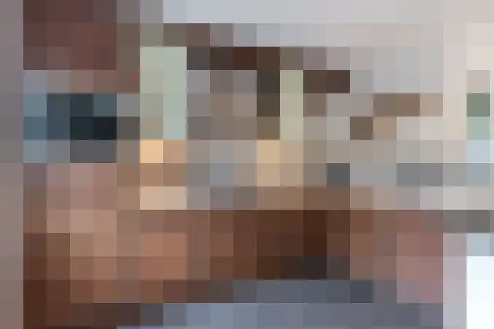 Snipdonk 13 Veghel thumbnail 19