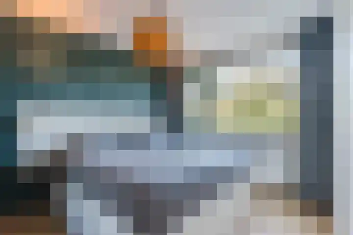 Snipdonk 13 Veghel thumbnail 21