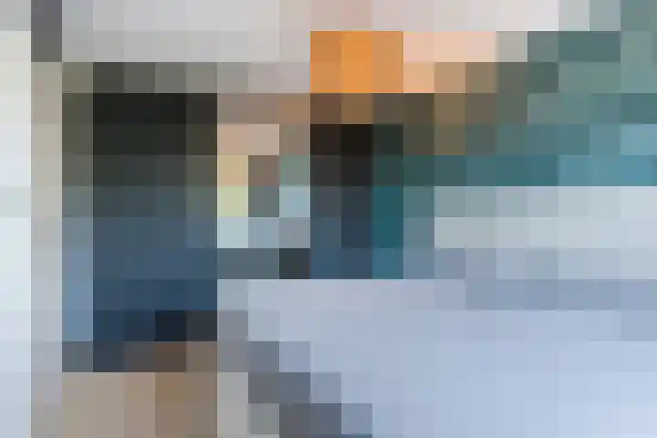 Snipdonk 13 Veghel thumbnail 22